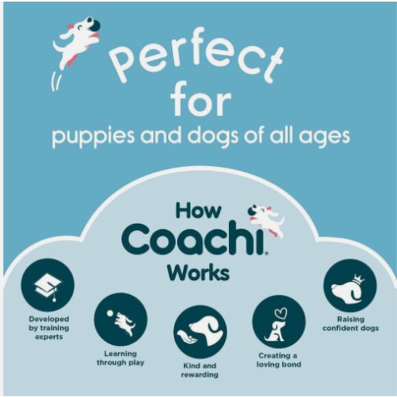 Dog Training Whistle Professional Ideal for Obedience & Recall, by Coachi - Picture 4 of 4